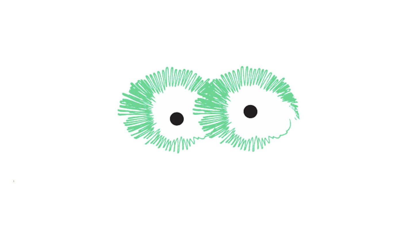 Digital Animator