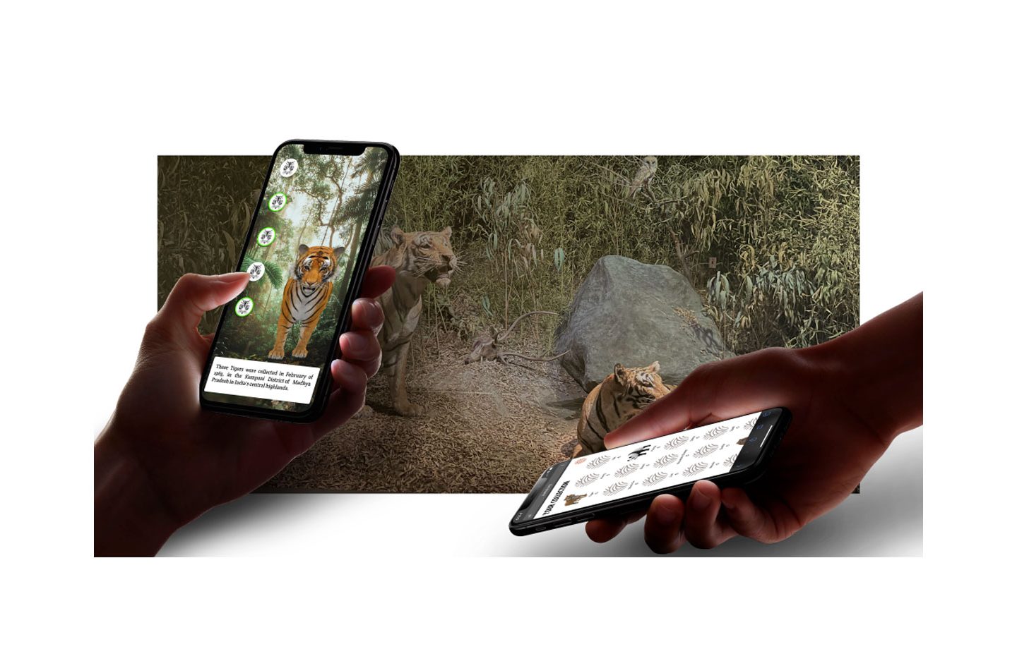 Dioramas of the Future